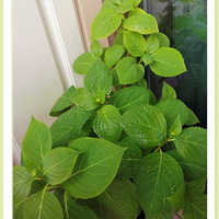 ��պ�ʢ�����Ҹպ�·�������������Ļ�ϲ���Ҽ�¼�����