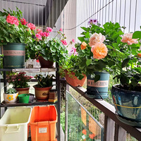 ����̨֮ϣ�������ÿ�