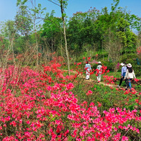 �������Ͳ˻���ʲô���ž顢�ž顢�ž飡