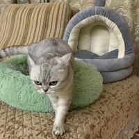 ��������������������������