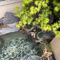 �����Ϳ���ӵ������С��԰