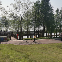 ���ٺ����������Ա��ǿ�¶Ӫ����̫�ʺ���������