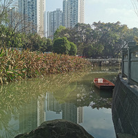 ��һ������Ӳ������������յľ���