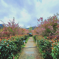 ���µڶ��죬���ϾŰӻ�����