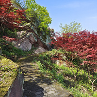 �山�ܼ�ɽ�������·������̬��԰