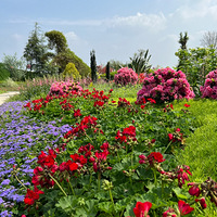 ��ɽƺ���������е�Ҫ���ܶ�