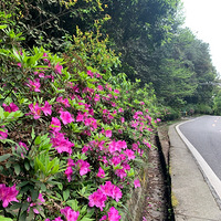 ������̤��