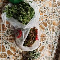 ����̤�࣬Ұ���ջ���