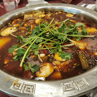 ����ʱ����׷ף��򿨳��ٵĹ�԰���³����ݽ���