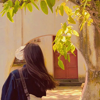 �˼�����������ɽ2�ǣ�