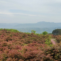 �糾���ͣ��˼������̻���