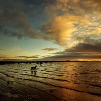 �ۣ���������Ӱ����