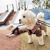 ������С��