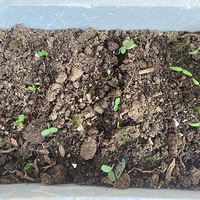 �ֹϵù����ѵ���