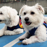 �ӹ�����ͺÿɰ�����С�ף�Ц��̫��̫���ˣ����С���ѣ�����