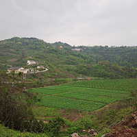 һ�����㡢̤�ࡢɢ���ĺõط�