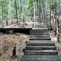 ���������ȥ����ɽ������ʪ�ع�԰���һ�Դ�������Σ�����