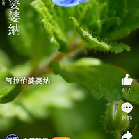 ������#���쳣����С������ʲô��#[�ͻ���]��