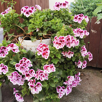 2022¶̨����