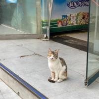 ·�Ͽ���ֱ��������