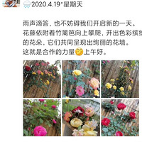 �򵥼�¼СԺ����