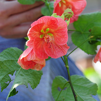 ̫�������ˣ����ö໨�����ˣ�