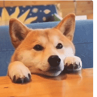 赽ϣûŮӹɡ