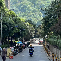 ��ɽСͽ������ĸɽɭ�����ɣ�����֮�Σ�;�����������������