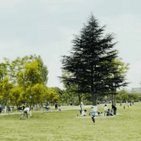 ��������¹�԰���ˣ���г����ƺ�����տ�¶Ӫ��ˣˮ���޹�