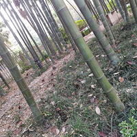 ����������Ӳ���������