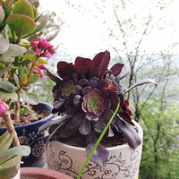 �����һ������