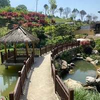 ����̤���ȥ����