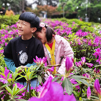 ҶС̽գժݣӣ԰һ