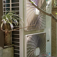 ������յ����޾��ᣬû�뵽������ھӰ����İ�