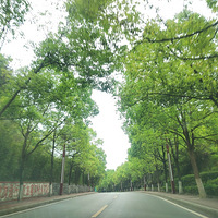 ��ĩ�ҵض����Ķ���Ȫ���Ҹ����ٵĵض�����