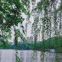 ����ƺ�ʪ�ع�԰����Ȼ�ÿ�����ȱ��Ҳ�У�