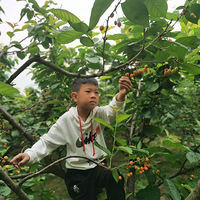 ��������Էժӣ�ң���ձ���ˮ����������һ���Σ�