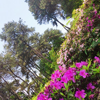 ��һ��������ţ��Ķž黨����ϧ���ڿ����