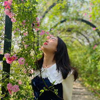 һƬ���������ϵ�Ǿޱ������������·