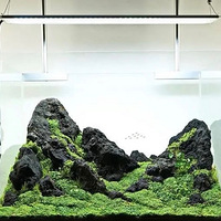 �����ľߺУ�����ĸ׾���ˮ����