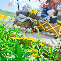 ����¶Ӫ��������ȫ��������Щ������ʵ�������