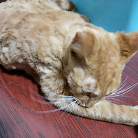 �Ҽһ����кð��ɾ����������ƣ���ͷ��jio��ͣЪ