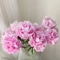 ����һ��������ĩ��