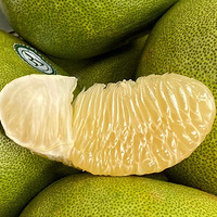 ڵȵһ̩