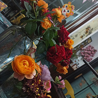 СС԰�ӣ��ļ��ɲ�ժ����������ʻ�ŭ�ŵļ��ڣ�ÿ�Ͷ��ǻ��鷹