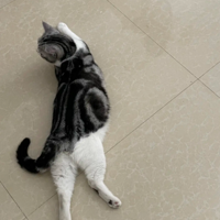 Ŷ è���Ķ�������ʵ���ڵ��� �㻹�Ǹ����갡