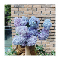 ���������������