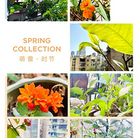 �����ѵ�Ұ������������̨