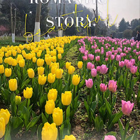 2.27 ��̫����ɭ�ֹ�԰������