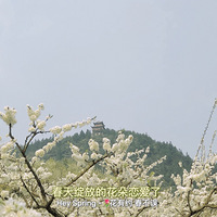 3.13 ��ӡ���